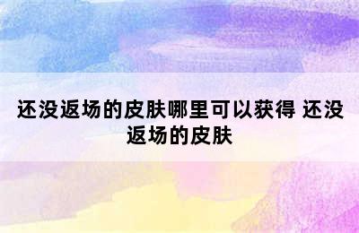 还没返场的皮肤哪里可以获得 还没返场的皮肤